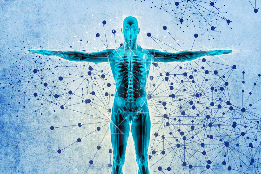 Part 1: An Introduction to Methylation