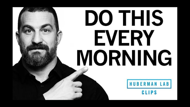 How to Feel Energized & Sleep Better with One Morning Activity | Dr. Andrew Huberman–Issue 04