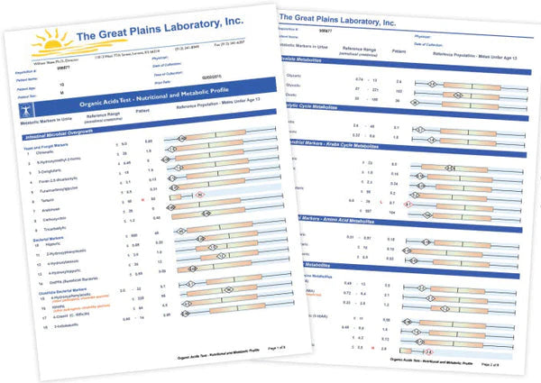 Organic Acid Testing (OAT): 6 Reasons to Consider Taking This Test