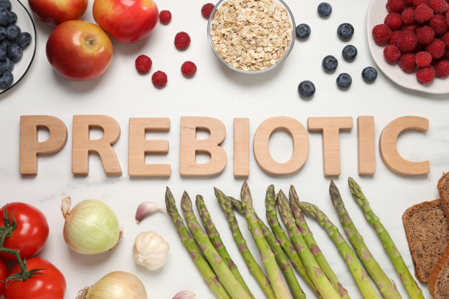 The Brain-Gut Connection: Benefits of Prebiotics FOS and Inulin for Aging Brain Health