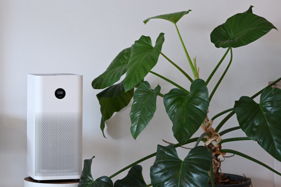 Breathing Easy: 5 Tips on How to Improve Air Quality