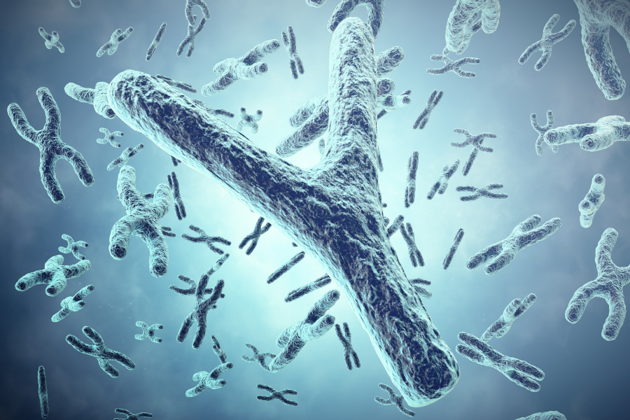 NAD+, Telomere Length & Aging