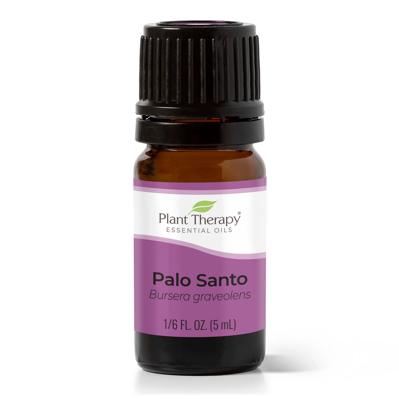 Palo Santo Essential Oil - Plant Therapy