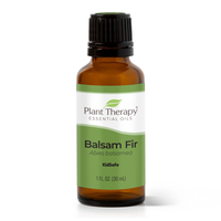 Thumbnail for Balsam Fir Essential Oil - Plant Therapy