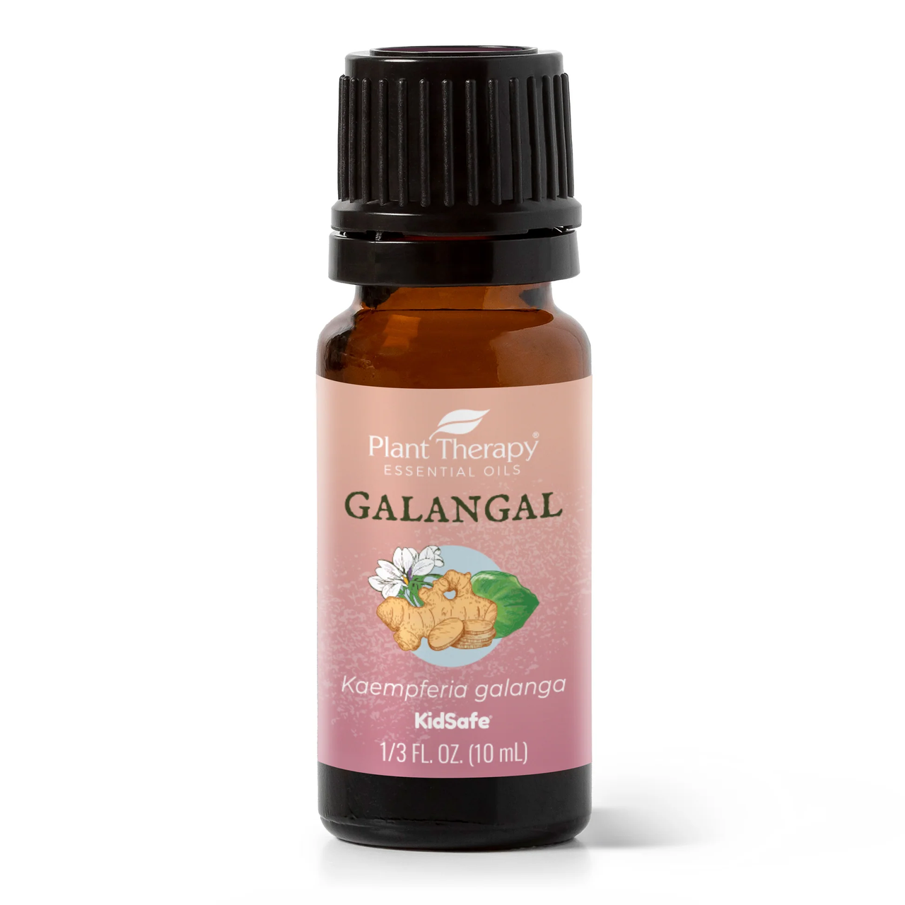 Galangal Essential Oil