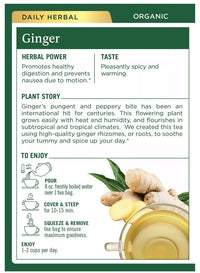 Thumbnail for Ginger Tea - Organic - My Village Green