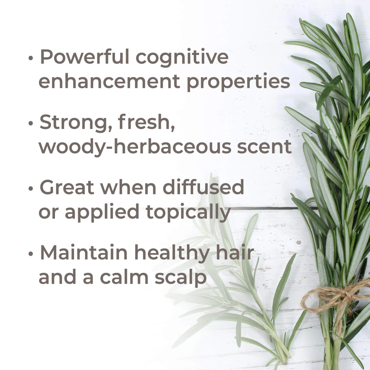 Organic Rosemary 1,8-Cineole Essential Oil - Plant Therapy