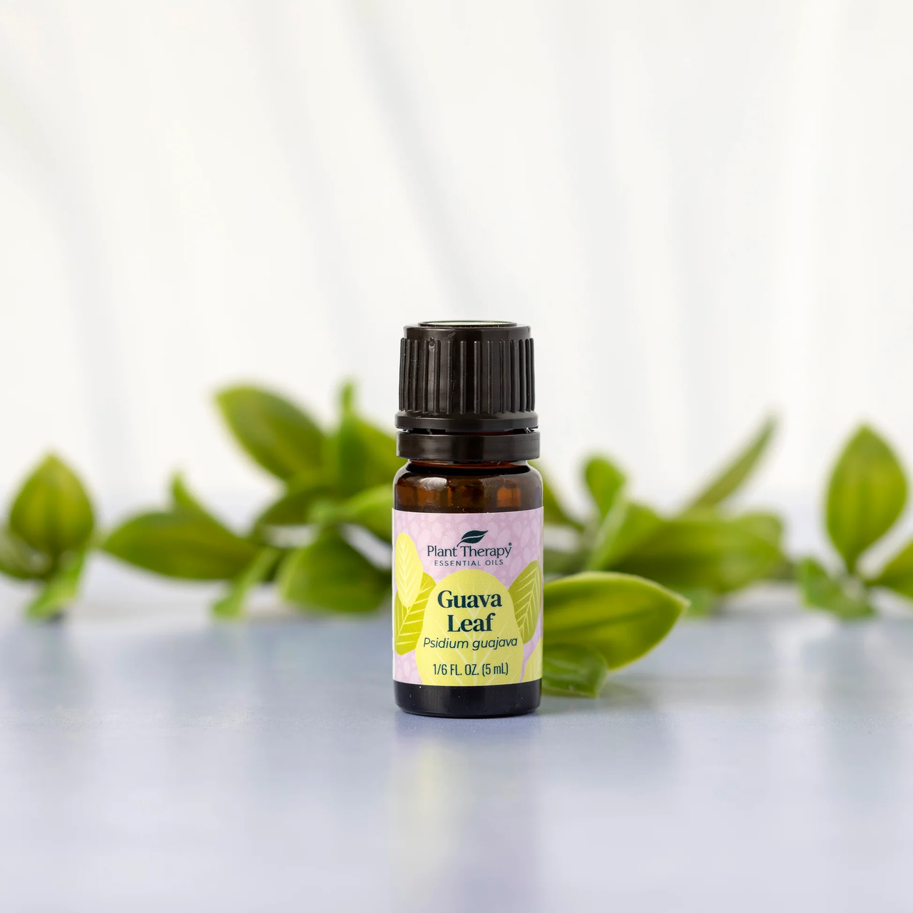 Guava Leaf Essential Oil - Plant Therapy