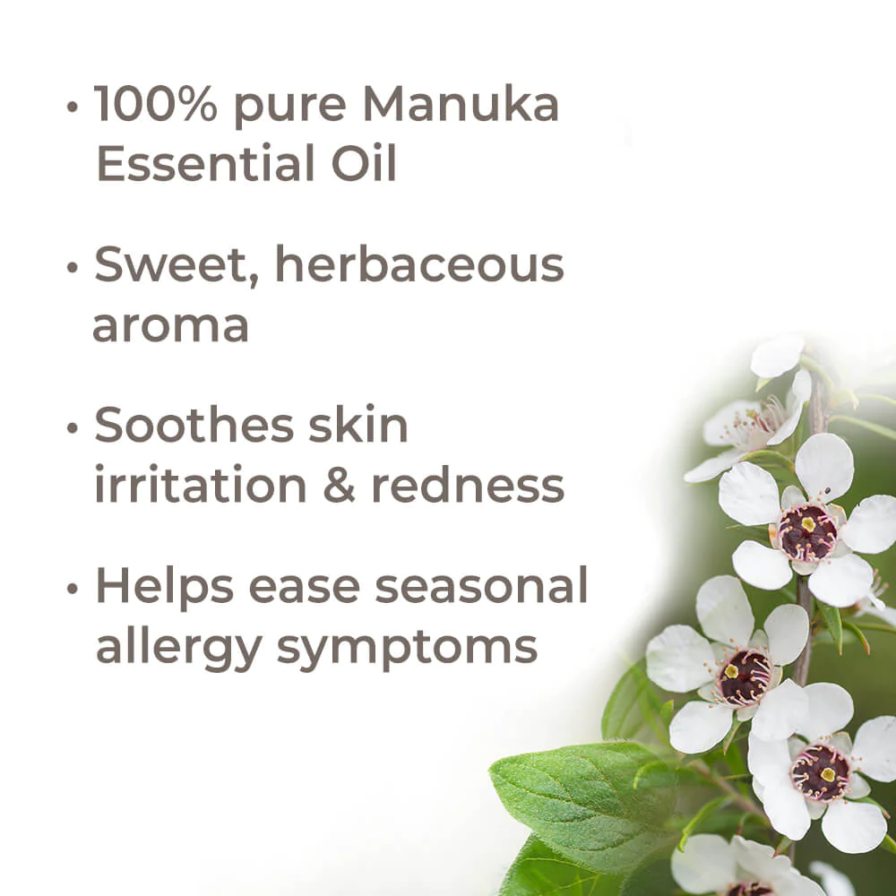 Manuka Essential Oil - Plant Therapy