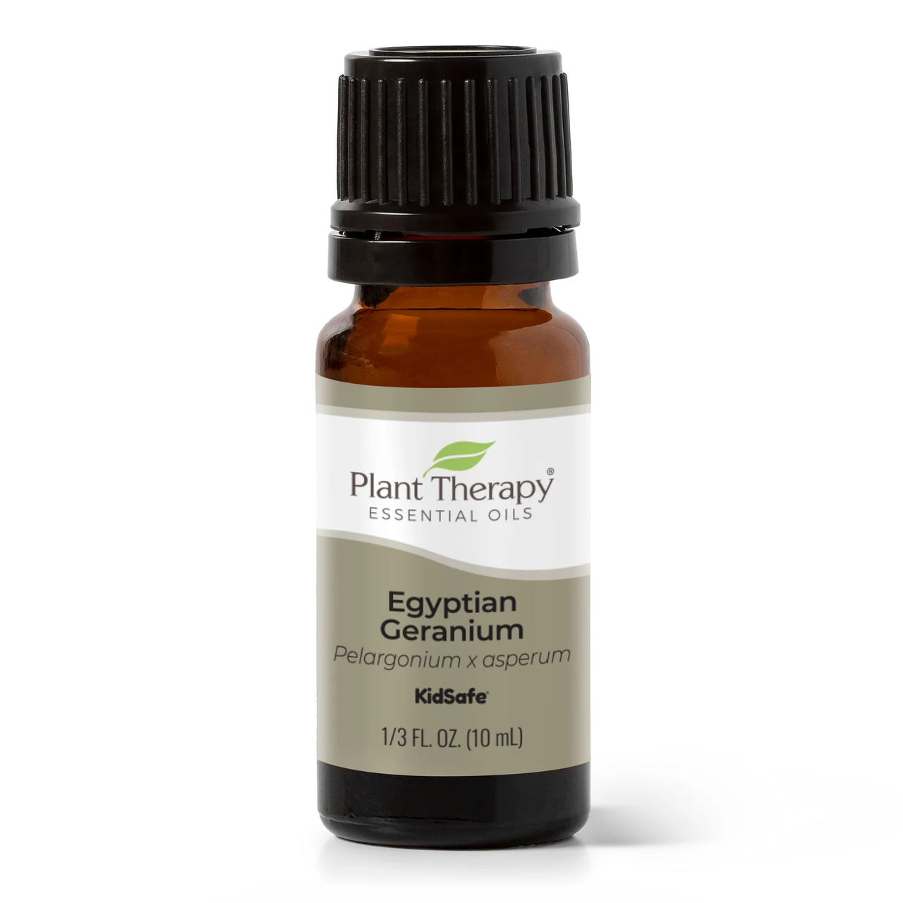 Egyptian Geranium Essential Oil - Plant Therapy