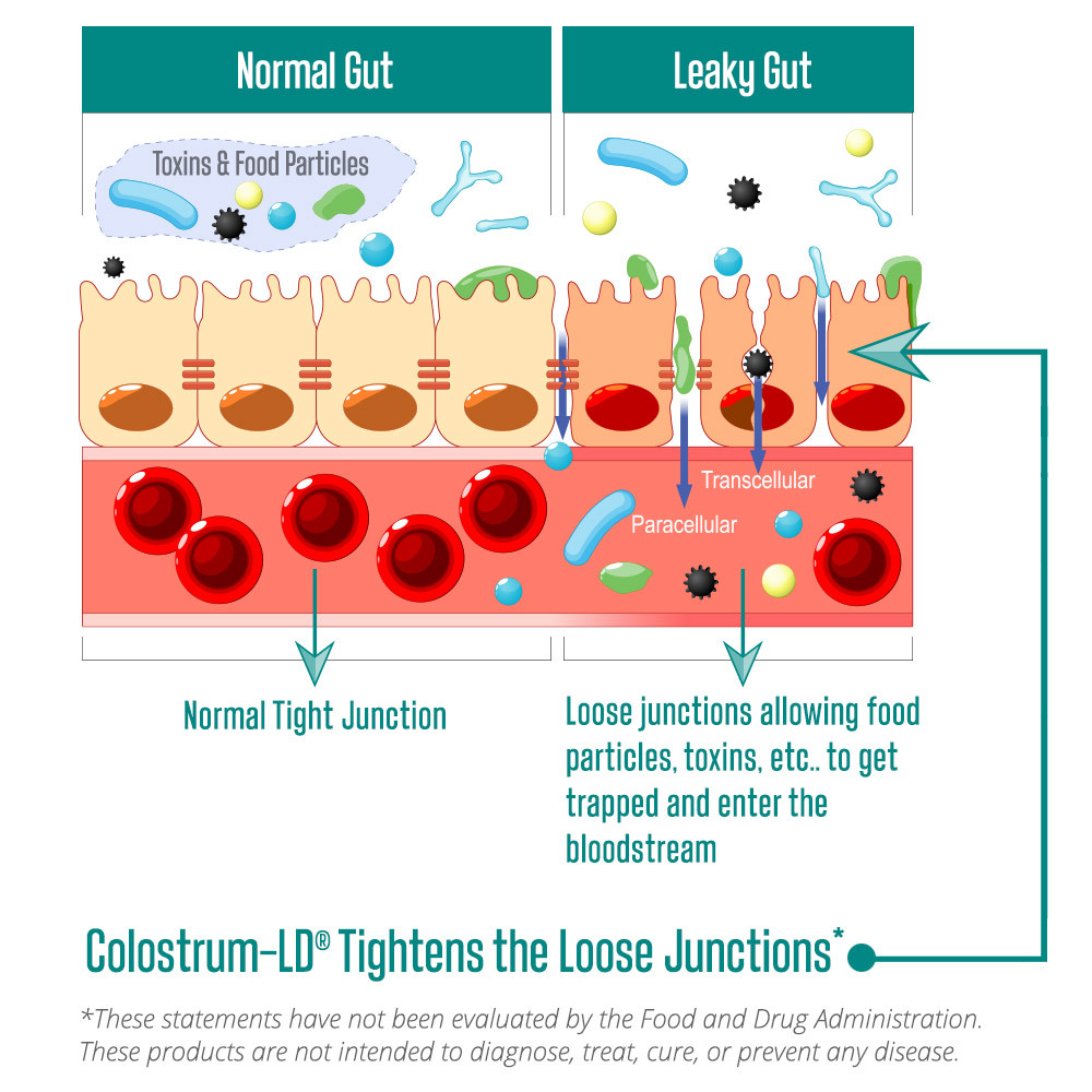 Colostrum-LD Powder Natural Vanilla Flavor - Sovereign Laboratories