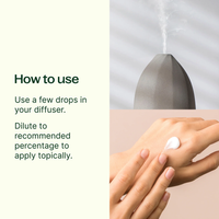 Thumbnail for 7 & 7 Essential Oil Set - Plant Therapy