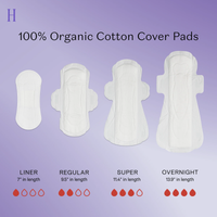 Thumbnail for Organic Cotton Cover Non-Herbal Everyday Liners - Honey Pot Comp.