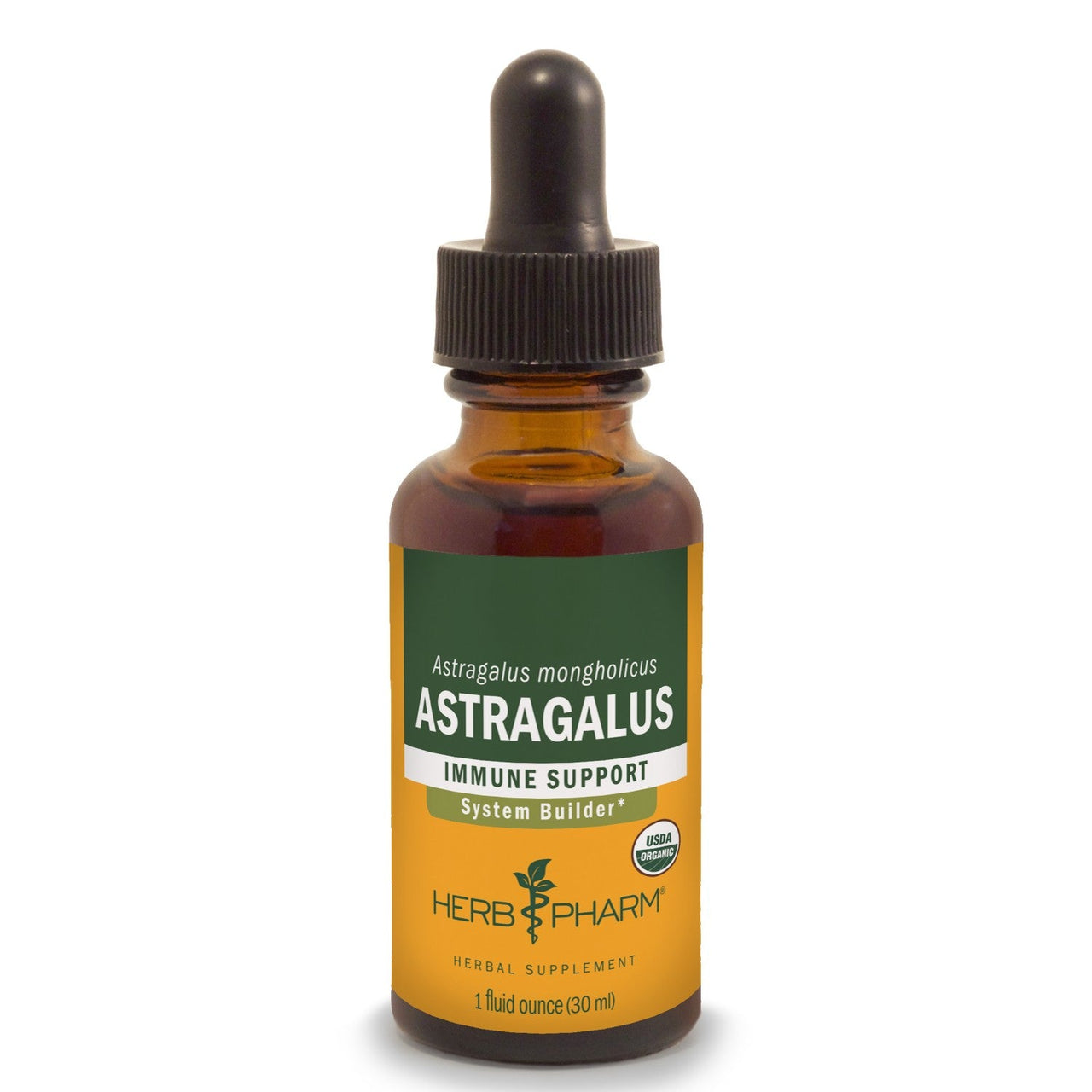 Astragalus - My Village Green
