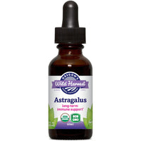 Thumbnail for Astragalus, Organic Extract