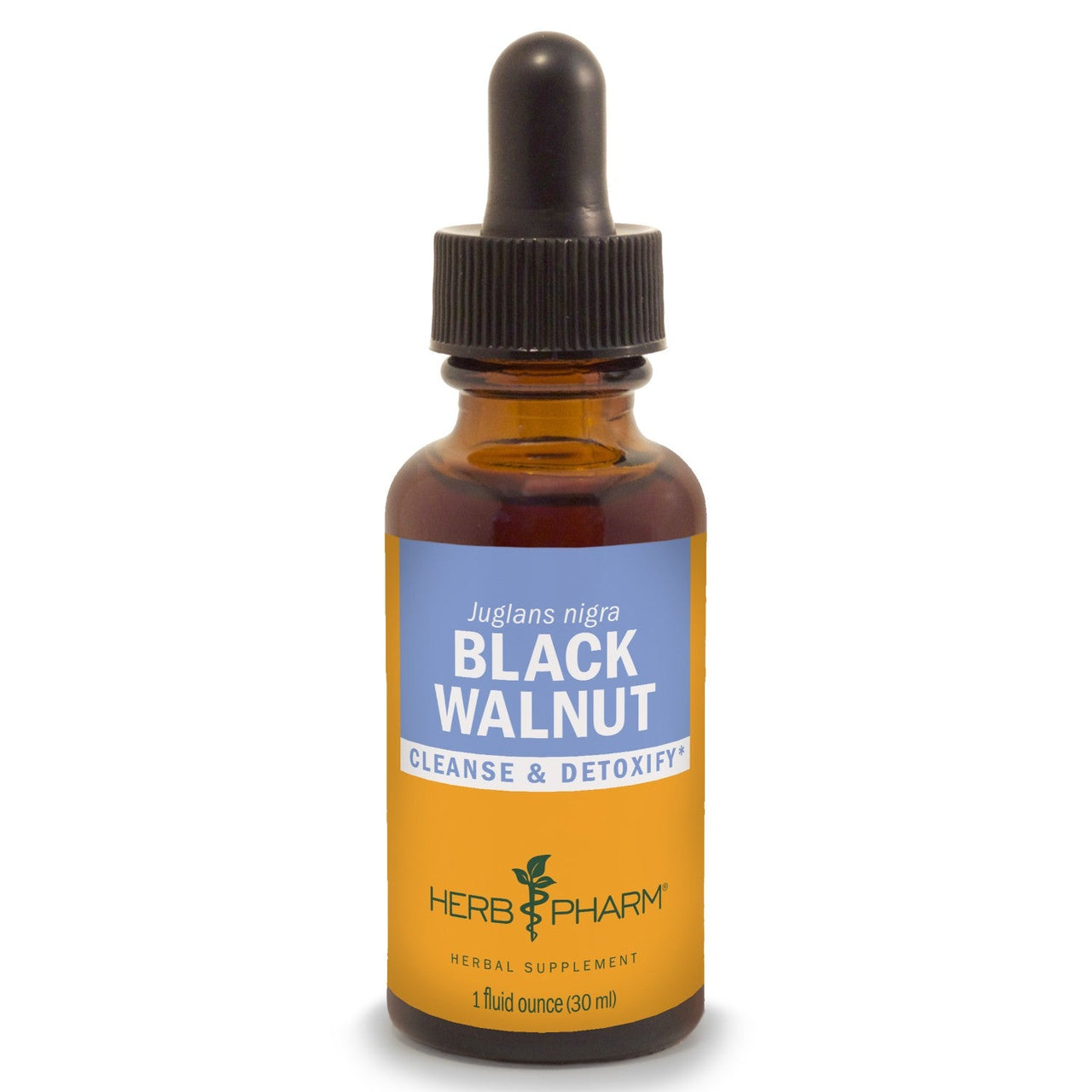 Black Walnut - My Village Green
