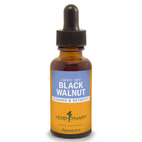 Thumbnail for Black Walnut - My Village Green