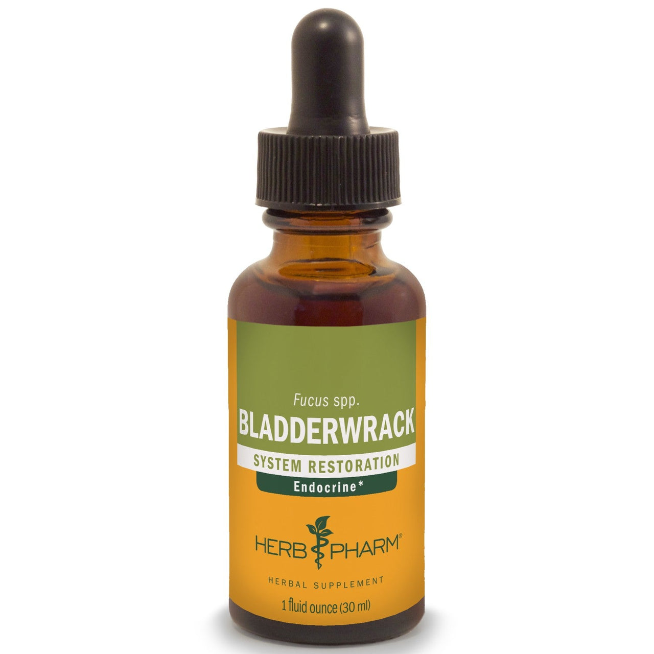 Bladderwrack - My Village Green