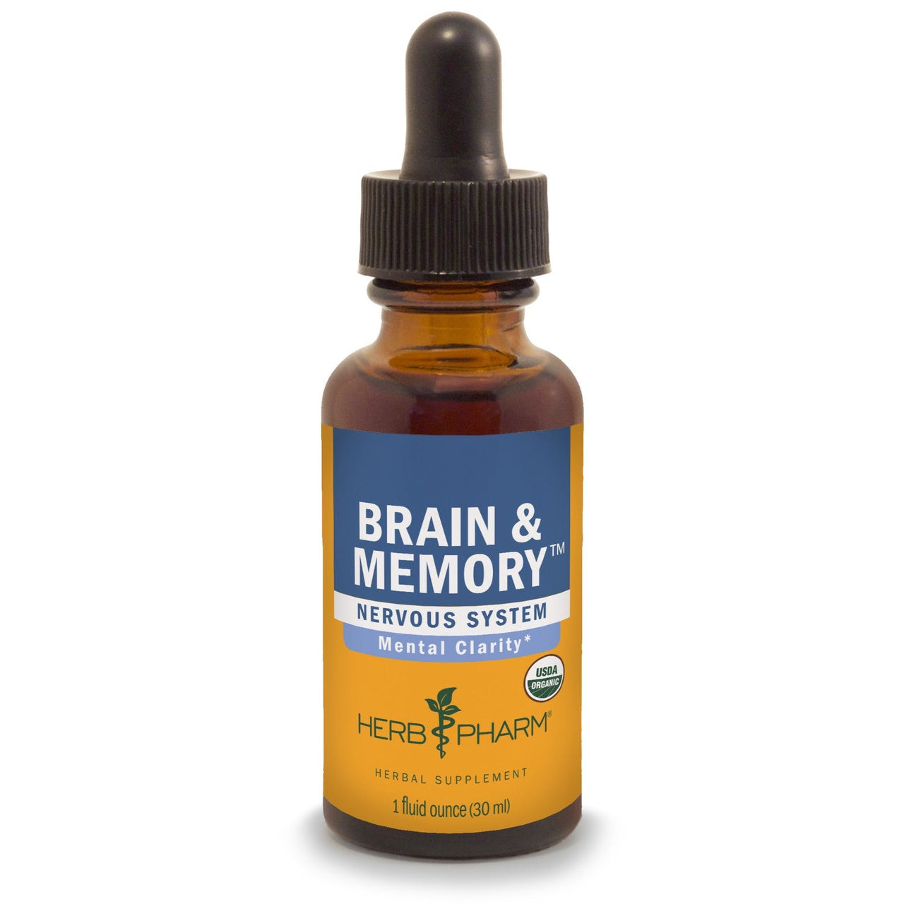 Brain & Memory - My Village Green