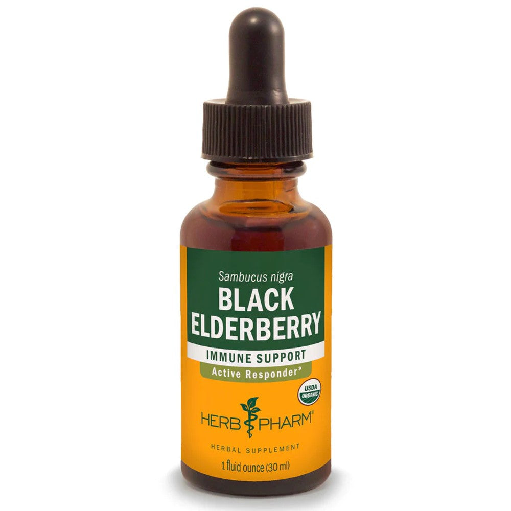 BLACK ELDERBERRY