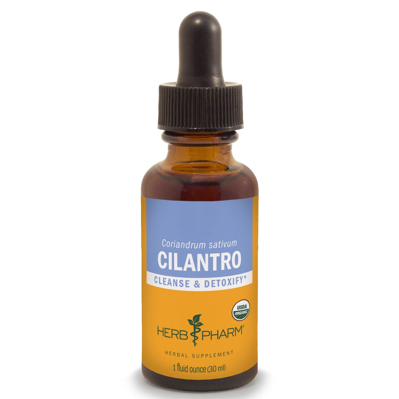 Cilantro - My Village Green