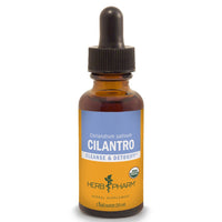 Thumbnail for Cilantro - My Village Green