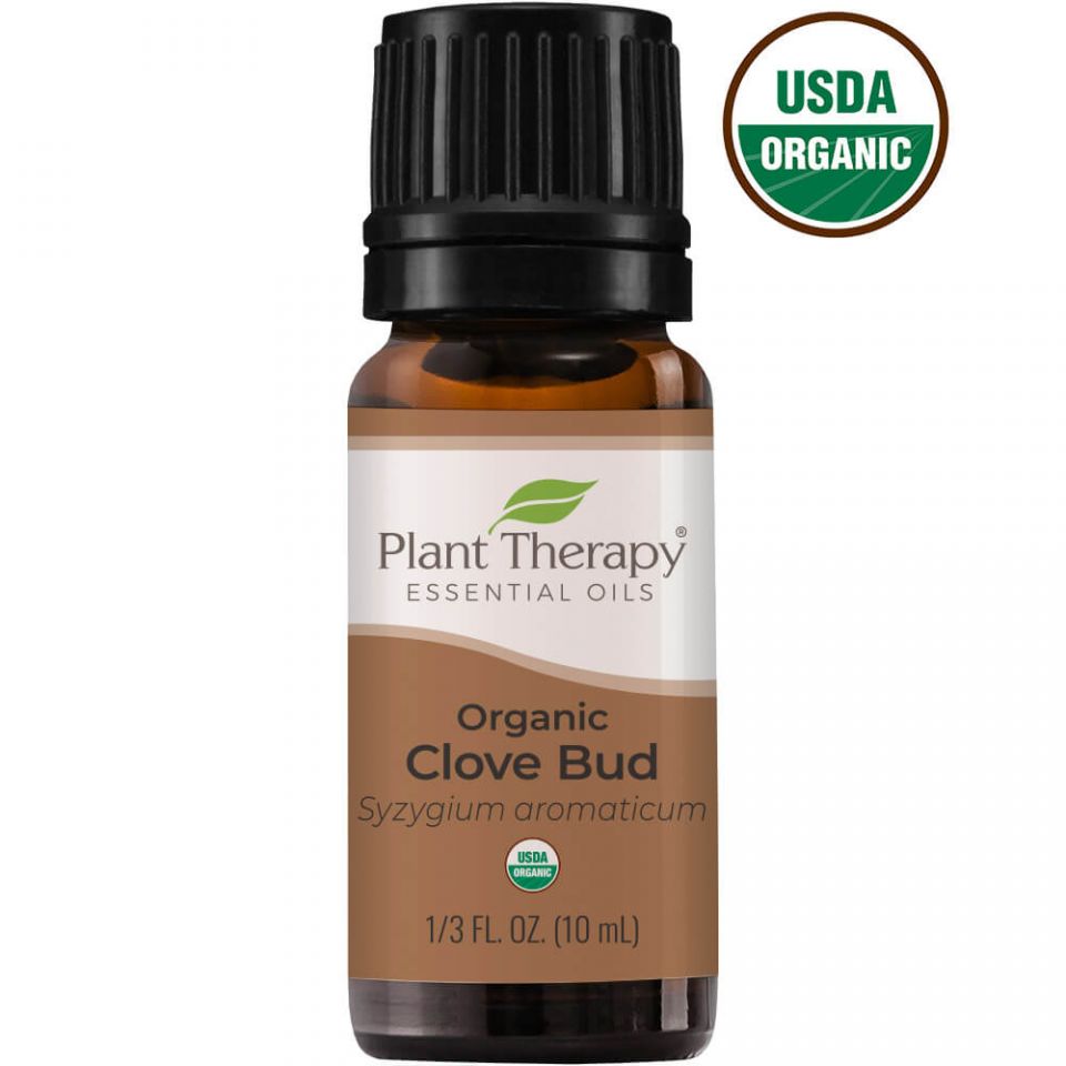 Organic Clove Bud Essential Oil - My Village Green