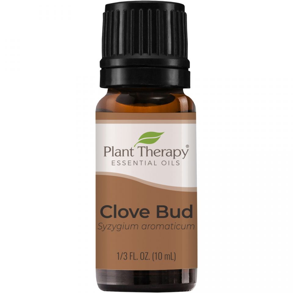 Clove Bud Essential Oil