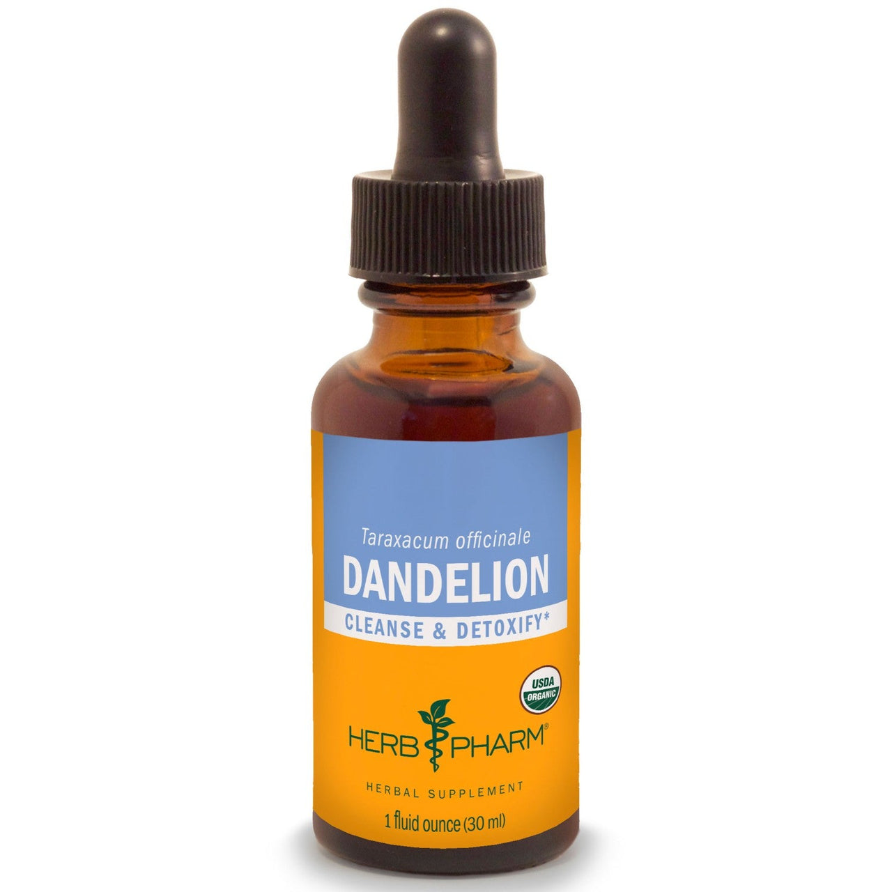 Dandelion - My Village Green