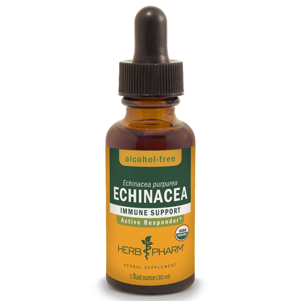 Echinacea, Alcohol-Free - My Village Green