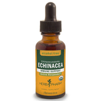 Thumbnail for Echinacea, Alcohol-Free - My Village Green