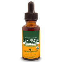 Thumbnail for Echinacea - My Village Green