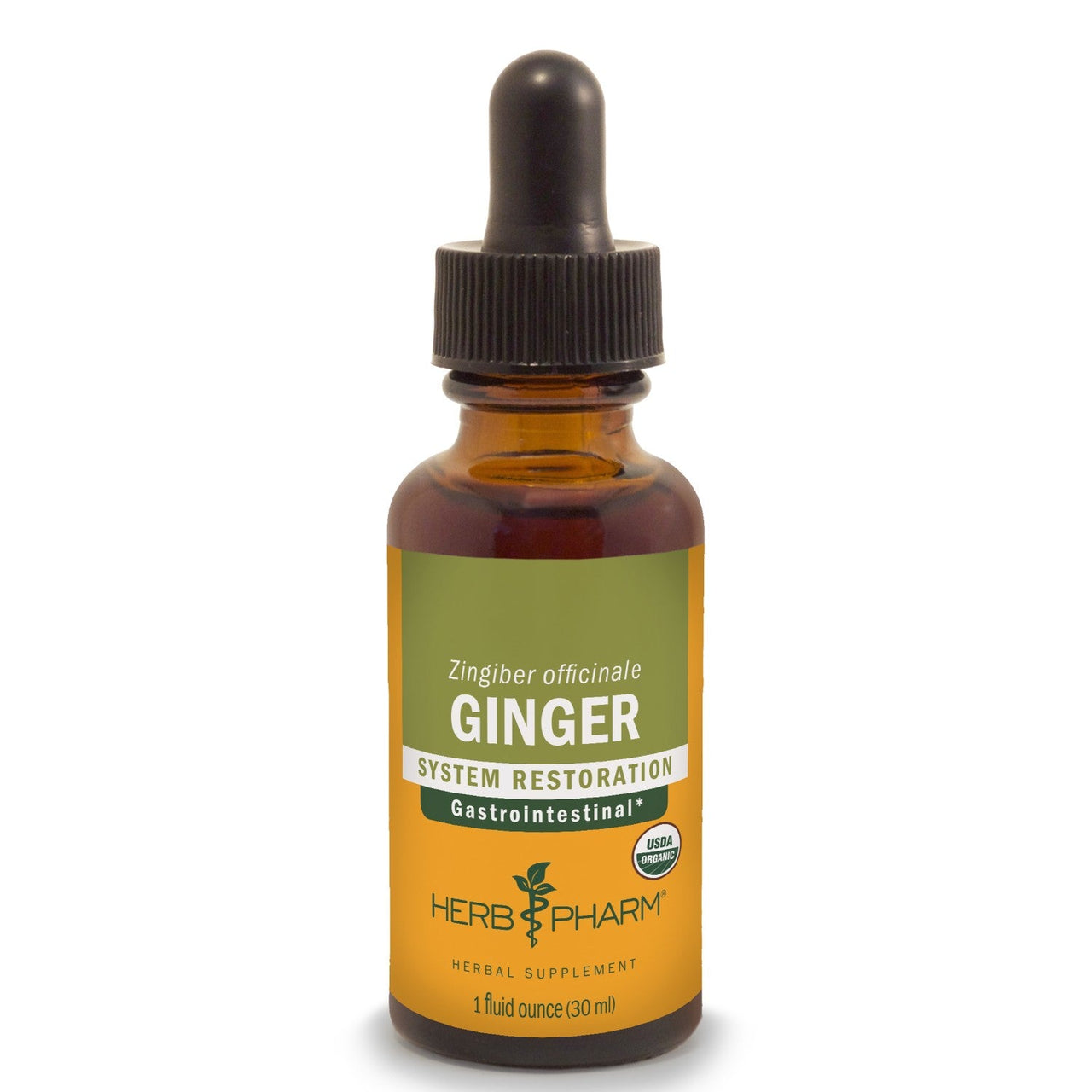 Ginger - My Village Green