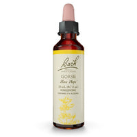 Thumbnail for Gorse - Bach Flower Remedies