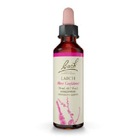 Thumbnail for Larch - Bach Flower Remedies