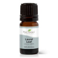 Thumbnail for Laurel Leaf Essential Oil