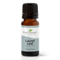 Thumbnail for Laurel Leaf Essential Oil