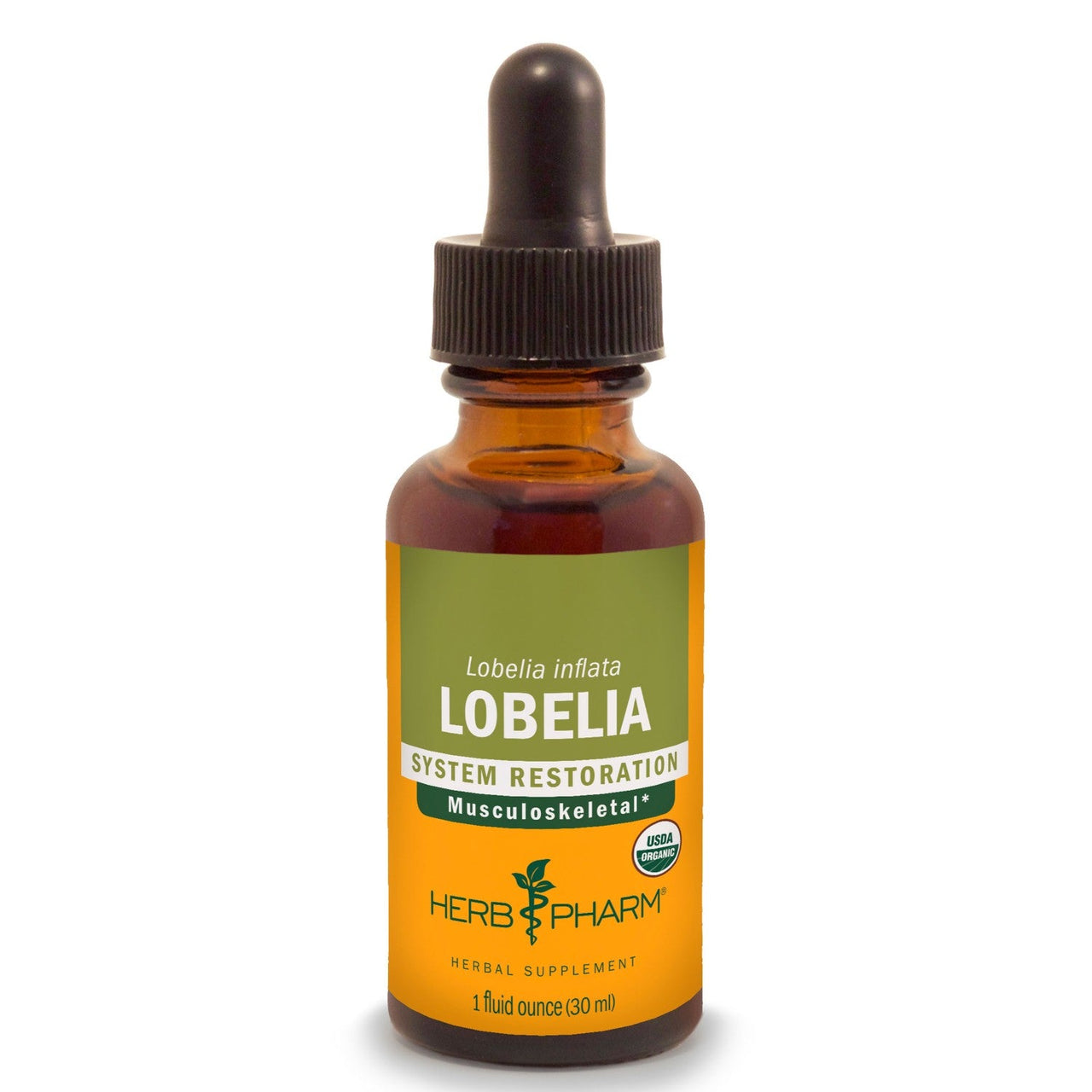Lobelia - My Village Green