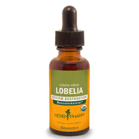 Thumbnail for Lobelia - My Village Green