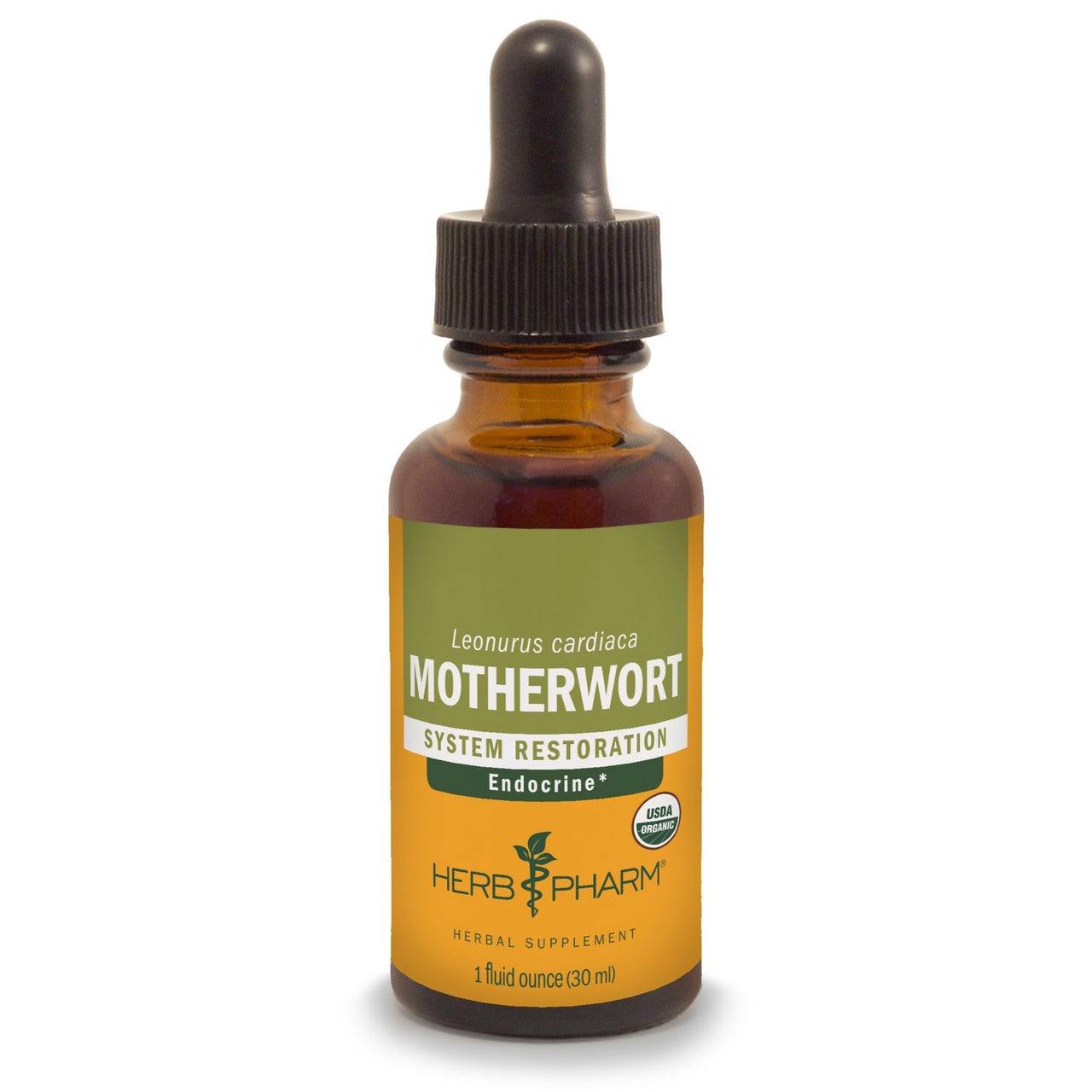 Motherwort - My Village Green