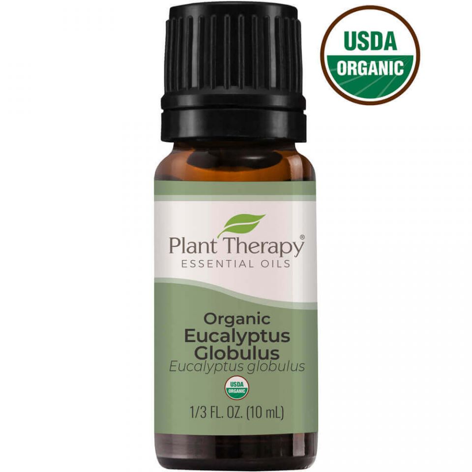 Organic Eucalyptus Globulus Essential Oil