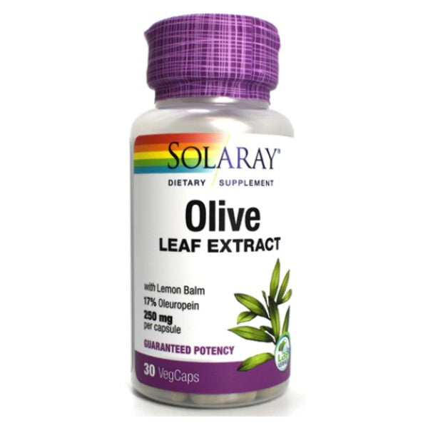 Olive Leaf Extract - 250 mg - My Village Green