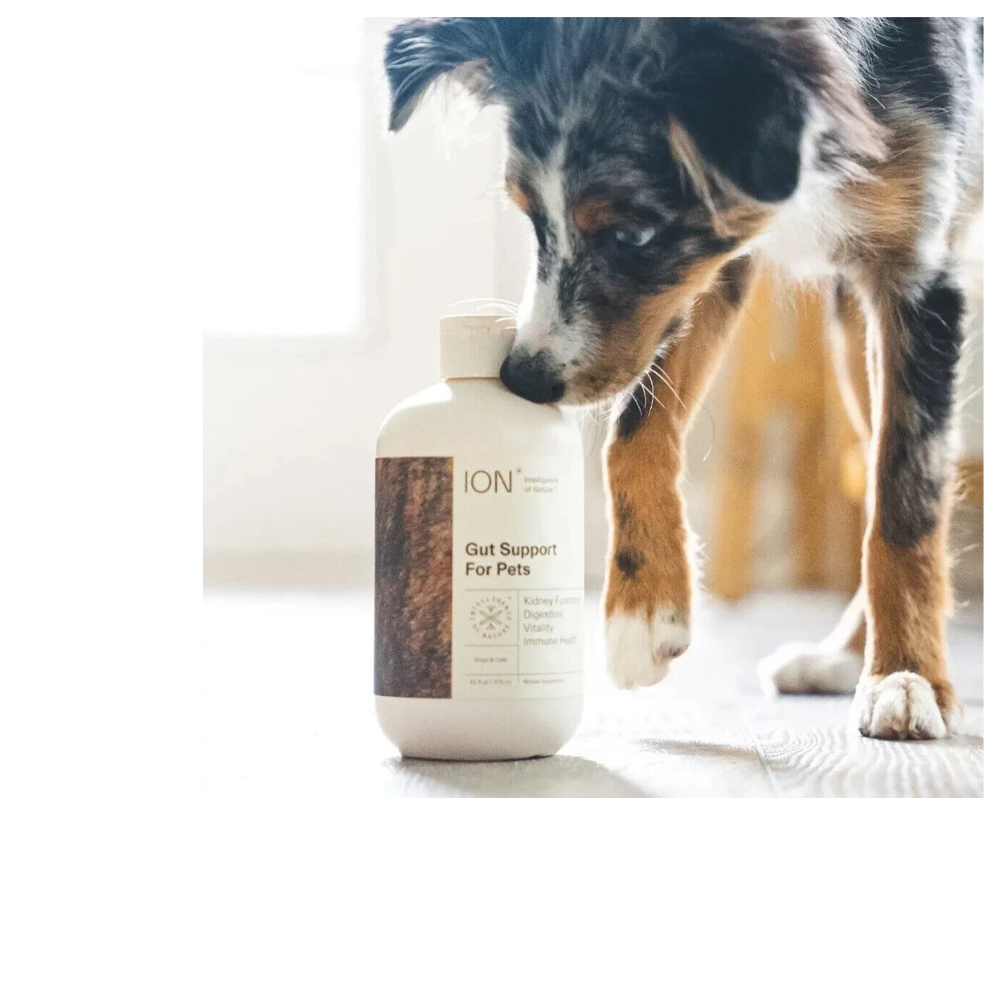 Ion Gut Support For Pets