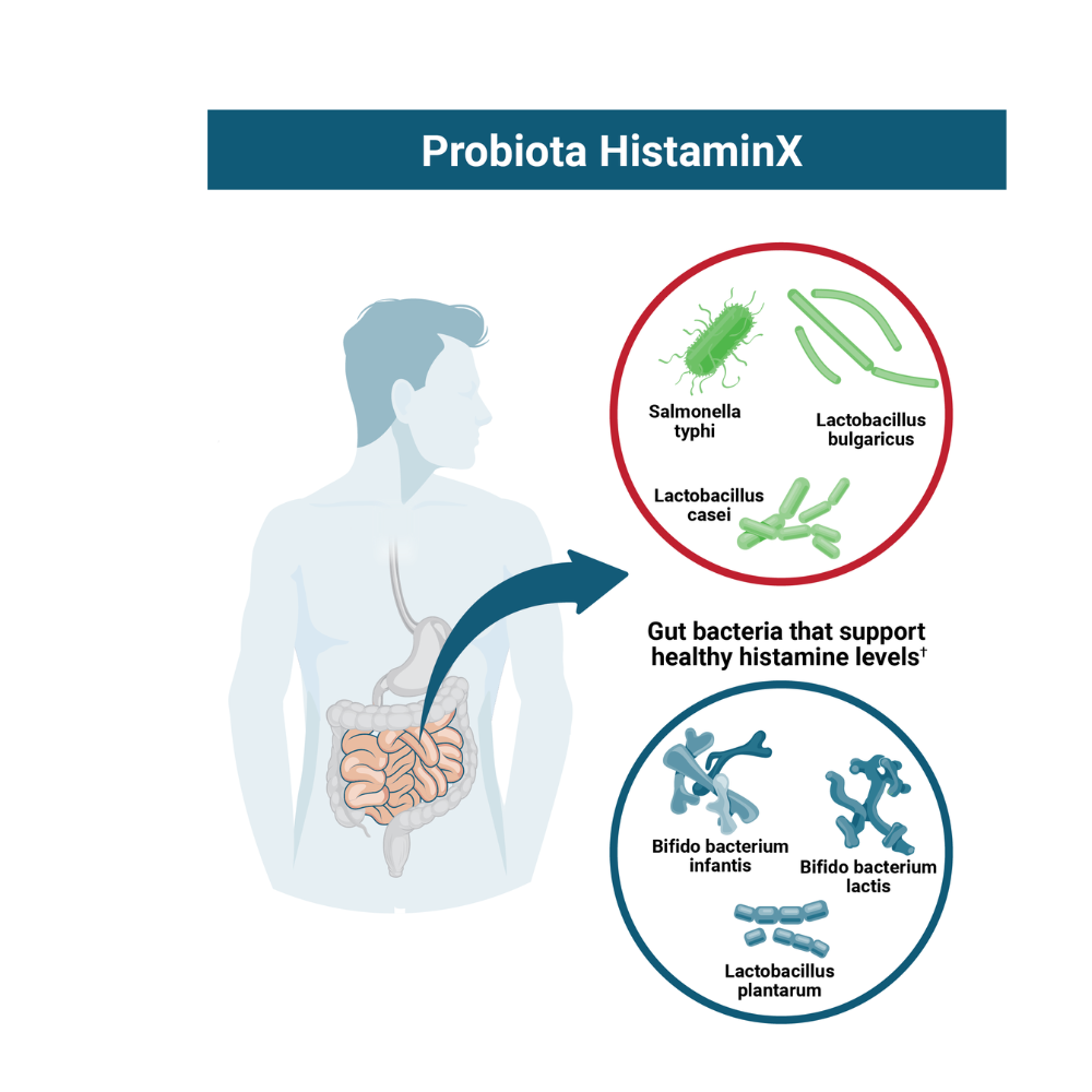 ProBiota HistaminX