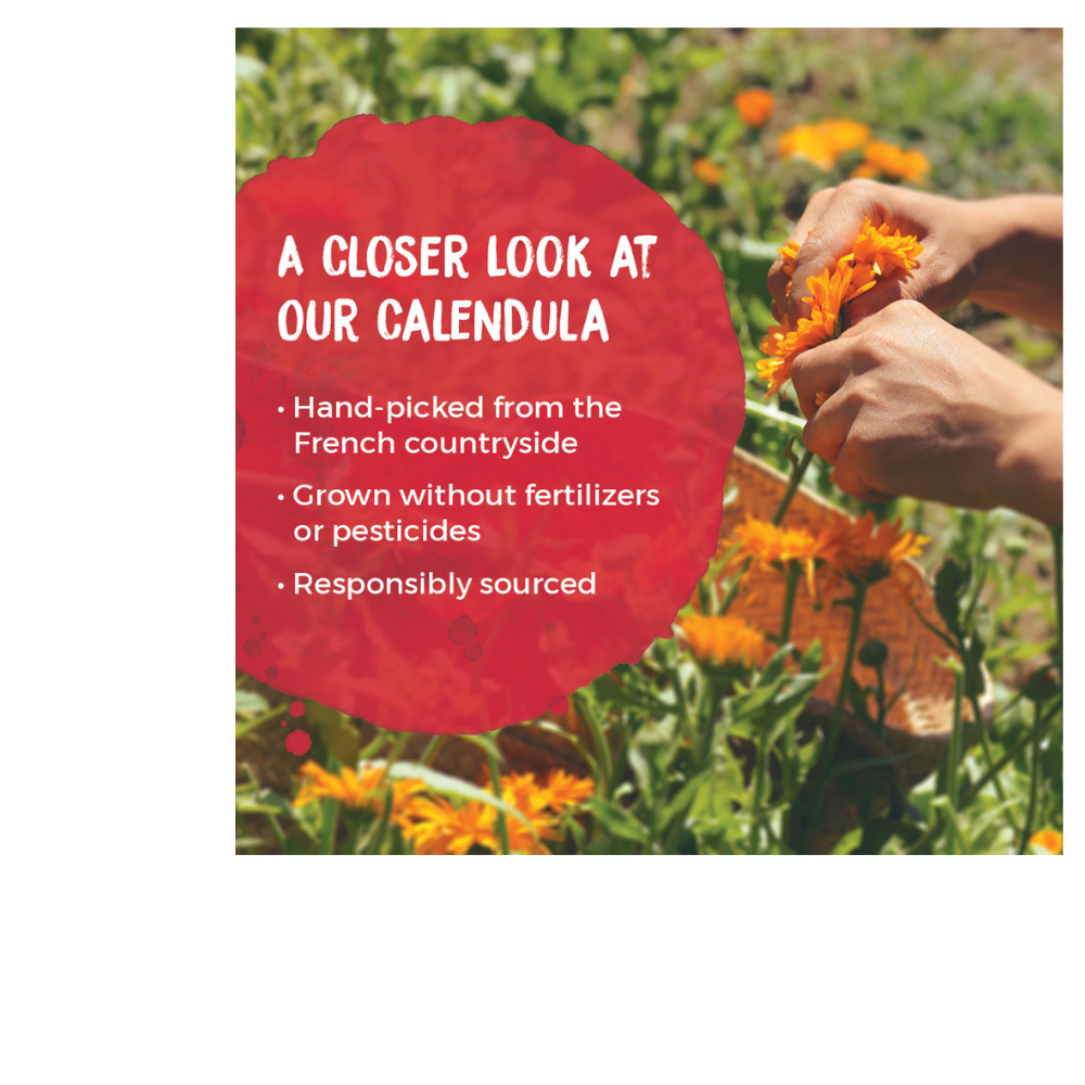 Calendula Gel