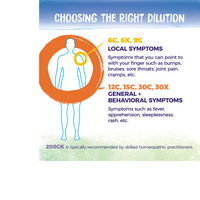 Thumbnail for Cortisone Aceticum (6c)