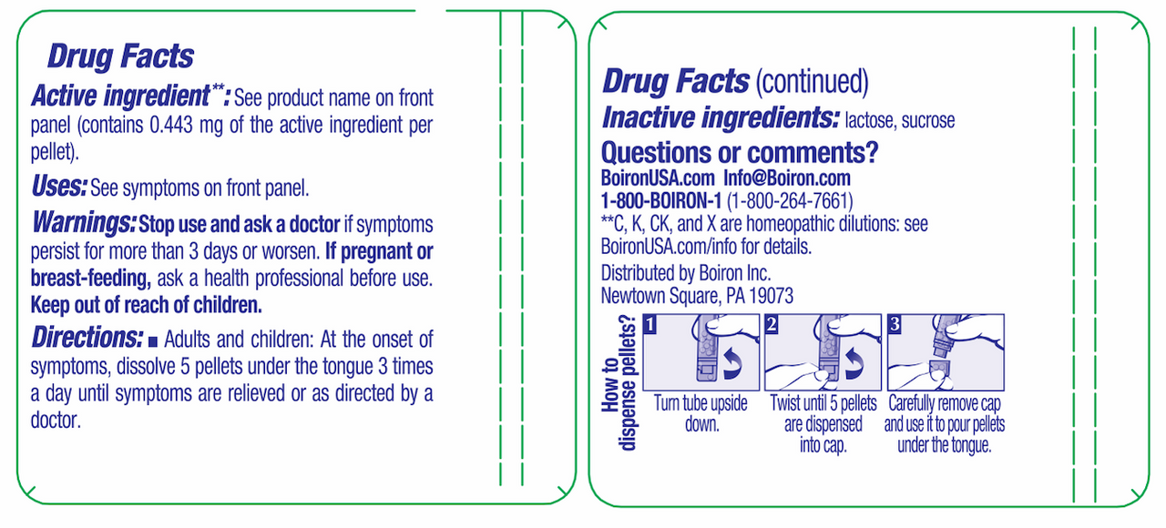 Influenzinum 6C