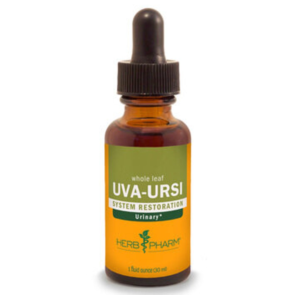 Uva-Ursi - My Village Green