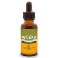 Thumbnail for Uva-Ursi - My Village Green