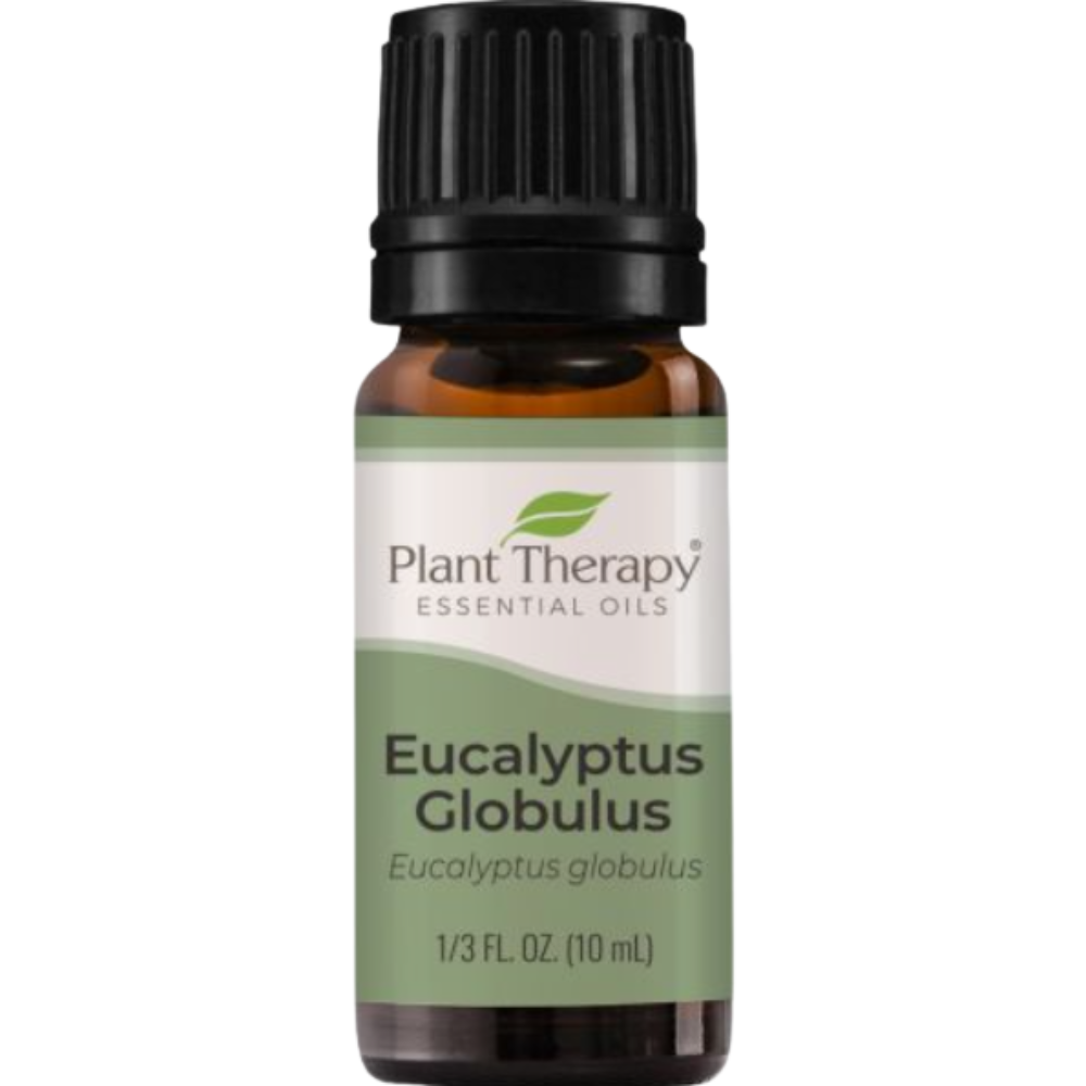 EUCALYPTUS GLOBULU ESSENTIAL